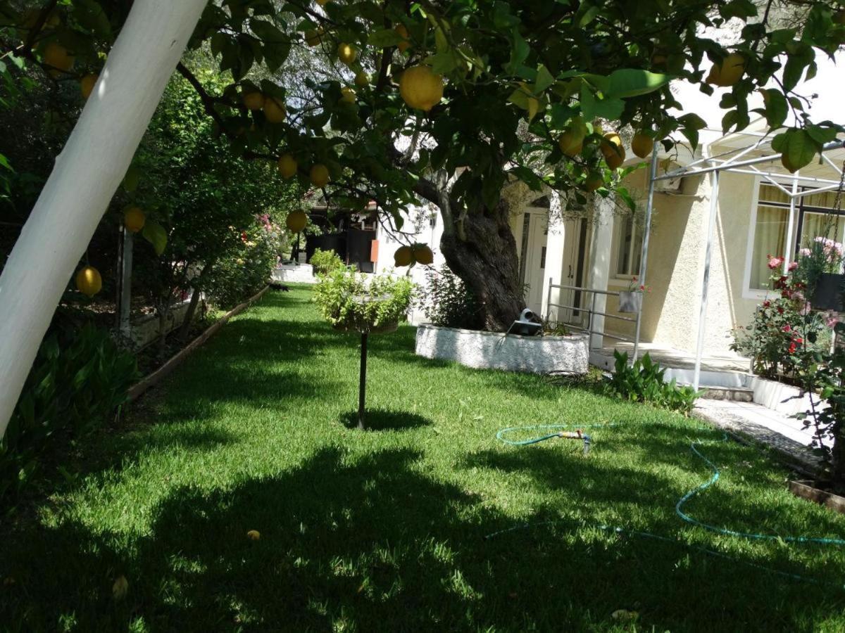 Margarita Apartments นิเกียนา ภายนอก รูปภาพ